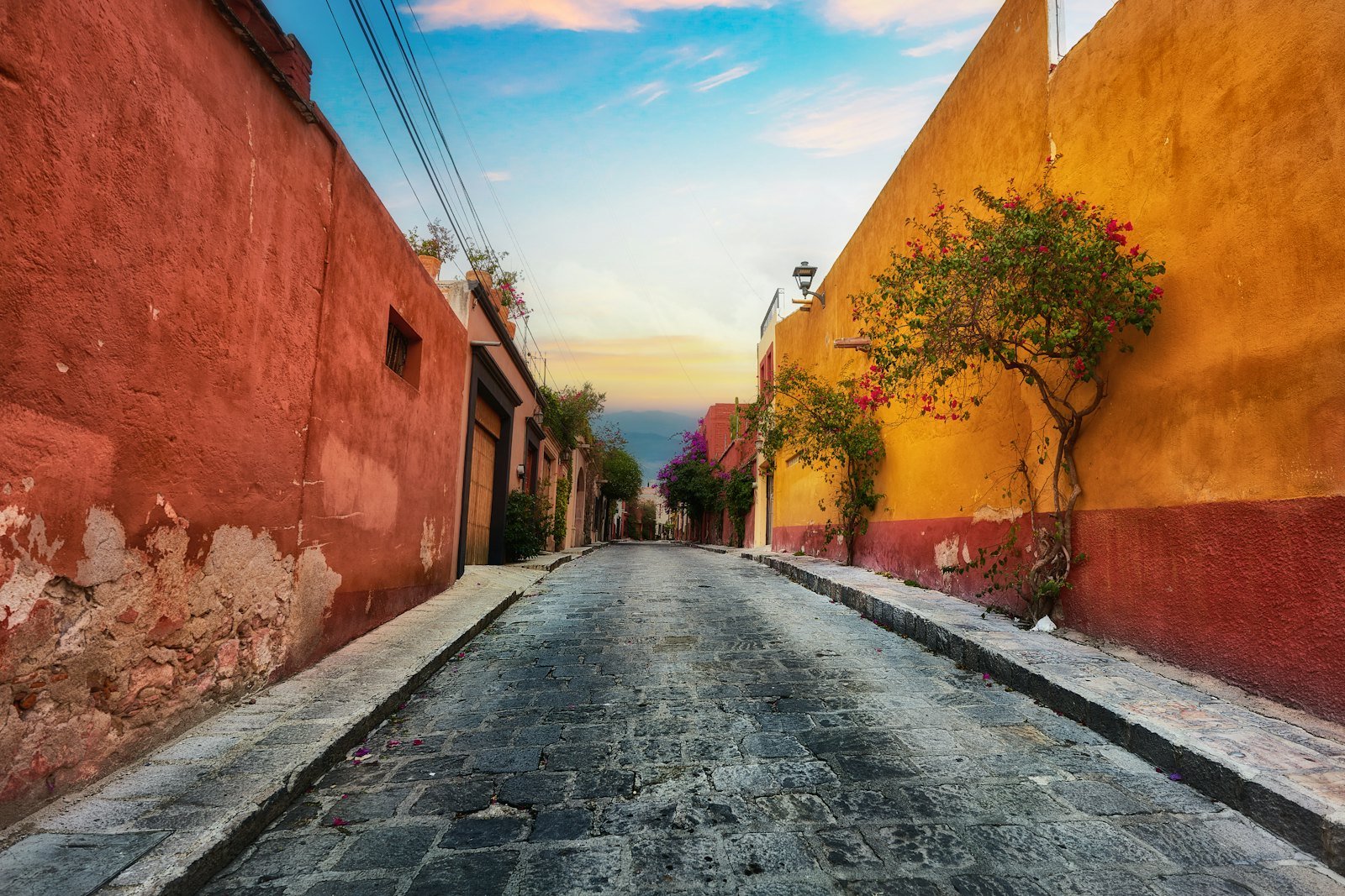 Camino entre viviendas de una colonia